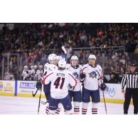 Springfield Thunderbirds gather following a goal