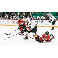 Lehigh Valley Phantoms forward Tanner Laczynski vs. the Belleville Senators