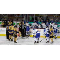 Wichita Thunder and Idaho Steelheads fight