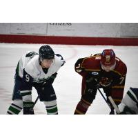 North Iowa Bulls Carter Rapalje (left) lines up for a faceoff against Minotauros Colby Joseph