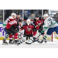 Vancouver Giants goaltender Connor Martin vs. the Seattle Thunderbirds