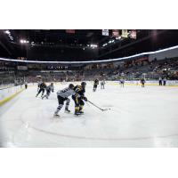 Rapid City Rush take on the Atlanta Gladiators