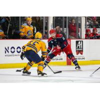 Allen Americans right wing Branden Troock vs. the Toledo Walleye