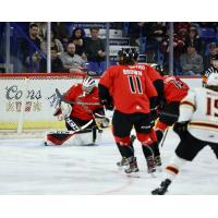 Prince George Cougars goaltender Ty Young vs. the Vancouver Giants