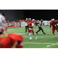 Massachusetts Pirates quarterback Alejandro Bennifield
