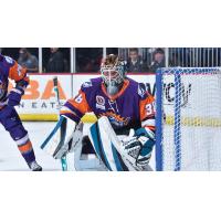 Orlando Solar Bears goaltender Alexei Melnichuk