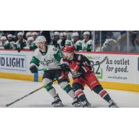 Grand Rapids Griffins center Tyler Spezia (right) vs. the Texas Stars