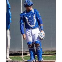 York Revolution catcher Paul Mondesi