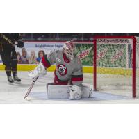 Grand Rapids Griffins goaltender Victor Brattstrom
