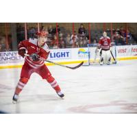 Rapid City Rush defenseman Quinn Wichers