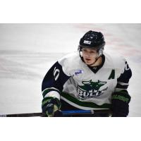 North Iowa Bulls defenseman Jack Mesic