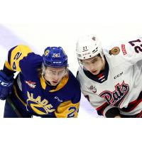 Regina Pats right wing Borya Valis (right) faces off with the Saskatoon Blades