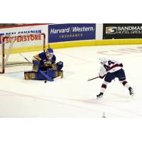 Regina Pats defenceman Layton Feist shoots vs. the Saskatoon Blades