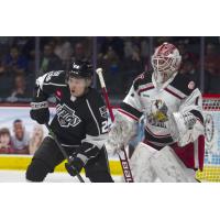 Grand Rapids Griffins goaltender Victor Brattstrom