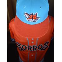 Zorros de Somerset cap and jersey