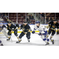 Worcester Railers HC battle the Newfoundland Growlers