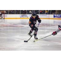 Andrew Bellant of the Knoxville Ice Bears
