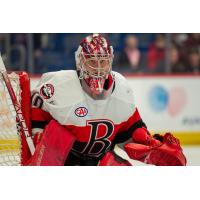 Belleville Senators goaltender Filip Gustavsson