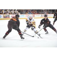 Lehigh Valley Phantoms battle the Wilkes-Barre/Scranton Penguins