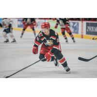 Grand Rapids Griffins center Kyle Criscuolo