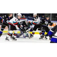 Victoria Royals goaltender Tyler Palmer vs. the Kelowna Rockets