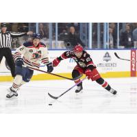 Grand Rapids Griffins right wing Dominik Shine (right) vs. the Milwaukee Admirals