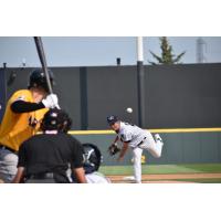 Somerset Patriots pitcher Ken Waldichuk