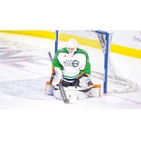 Maine Mariners goaltender Stefanos Lekkas