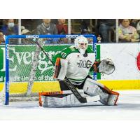 Maine Mariners goaltender Stefanos Lekkas