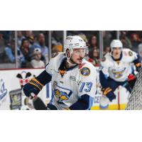 Mitchell Heard of the Toledo Walleye