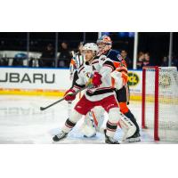 Grand Rapids Griffins center Kyle Criscuolo