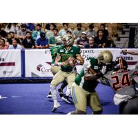 Massachusetts Pirates quarterback Alejandro Bennifield vs. the Bismarck Bucks