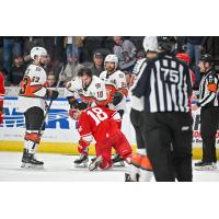 JD Dudek of the Allen Americans vs. the Kansas City Mavericks