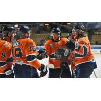 Worcester Railers exchange congratulations against the Maine Mariners