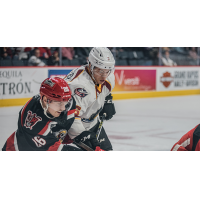Cleveland Monsters vs. the Grand Rapids Griffins