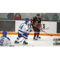 Danbury Hat Tricks forward Tom Mele (right) vs. the Watertown Wolves