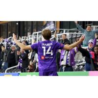 Louisville City FC striker Wilson Harris