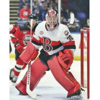 Belleville Senators goaltender Filip Gustavsson vs. the Utica Comets