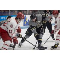 Muskegon Lumberjacks forward Ben Strinden faces off with the Dubuque Fighting Saints