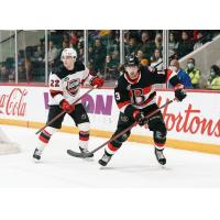 Belleville Senators right wing Egor Sokolov (right) vs. the Utica Comets
