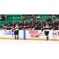 Belleville Senators exchange congratulations along the bench