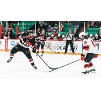 Belleville Senators left wing Matthew Wedman (left) vs. the Utica Comets