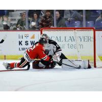 Vancouver Giants goaltender Will Gurski tries to keep the Portland Winterhawks at bay