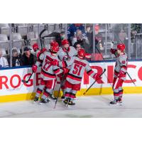 Grand Rapids Griffins gather after a goal against the Toronto Marlies