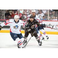 Springfield Thunderbirds battle the Hershey Bears