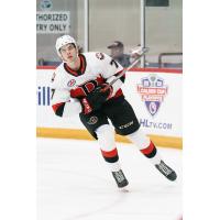 Belleville Senators left wing Viktor Lodin