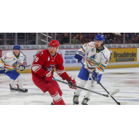 Wichita Thunder battles the Allen Americans