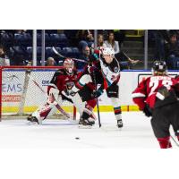 Vancouver Giants goaltender Matthew Hutchison faces the Kelowna Rockets