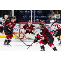 Vancouver Giants goaltender Matthew Hutchison vs. the Kelowna Rockets