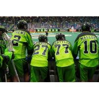 Saskatchewan Rush keep an eye on the action
